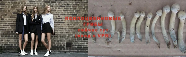 прущая мука Бутурлиновка