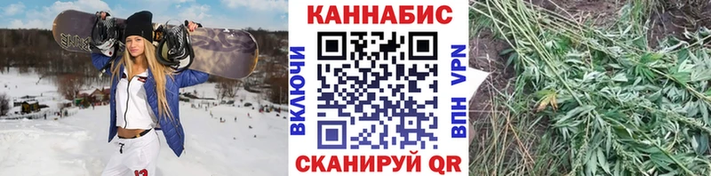 МАРИХУАНА индика Купить закладки Гудермес